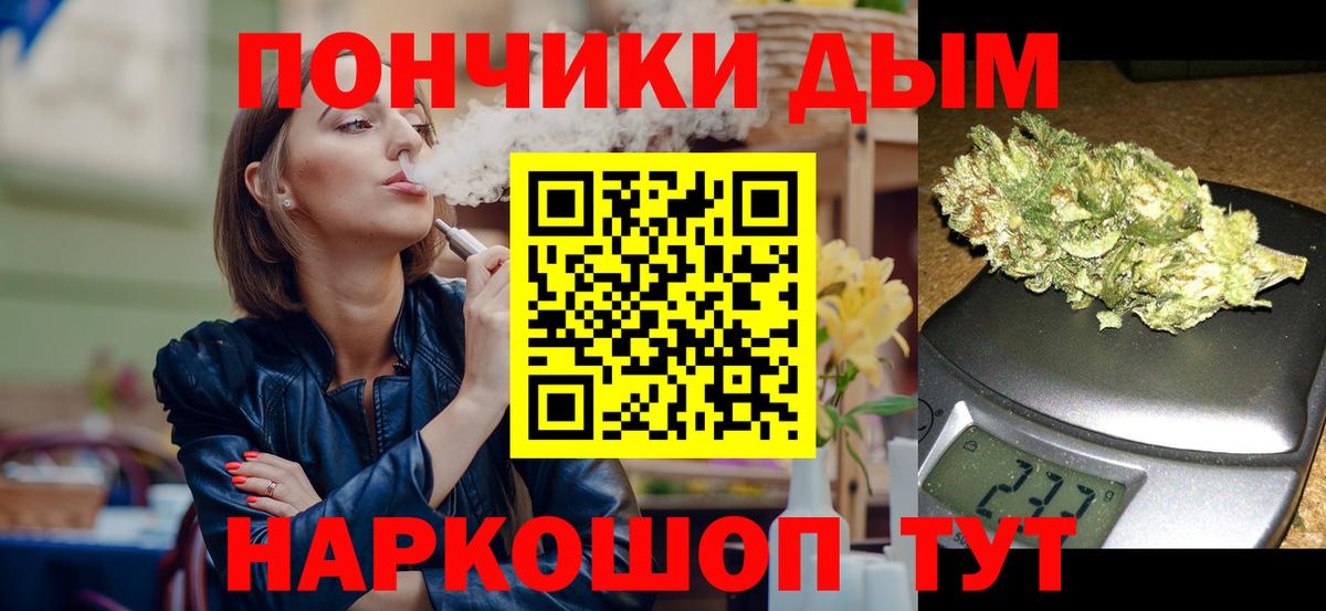 Бошки Шишки Bruce Banner  Конопля семена  Каннабис сатива  Вход с VPN  Заволжье 
